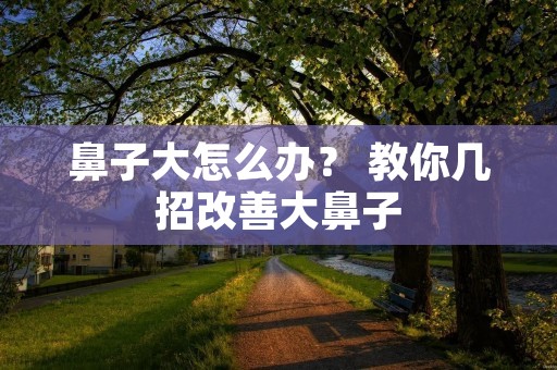 鼻子大怎么办? 教你几招改善大鼻子 鼻子大怎么办? 教你几招改善大鼻子