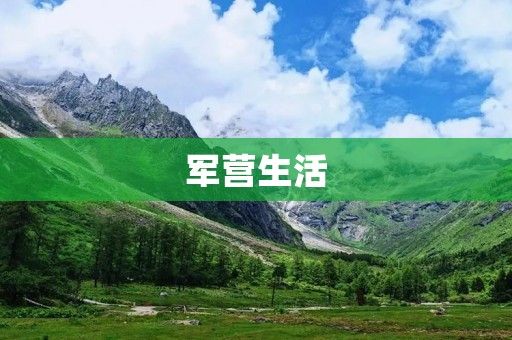 军营生活：从新兵到老兵的成长历程