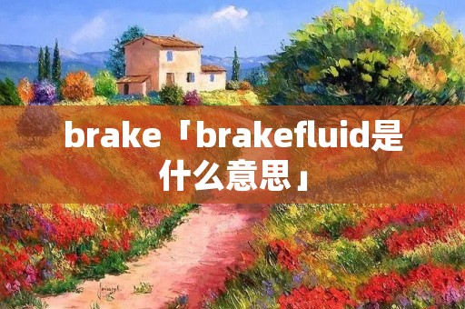 brake「brakefluid是什么意思」 brake「brakefluid是什么意思」