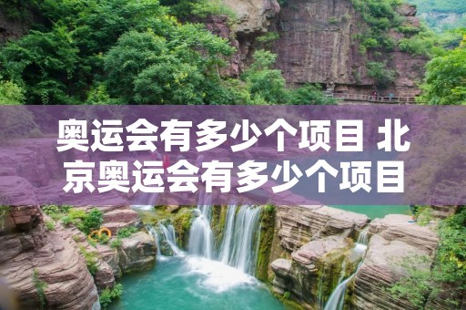 奥运会有多少个项目 北京奥运会有多少个项目