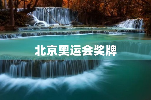 北京奥运会奖牌：中国体育的辉煌时刻
