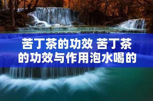 苦丁茶的功效 苦丁茶的功效与作用泡水喝的功效