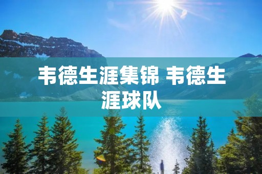韦德生涯集锦 韦德生涯球队 韦德生涯集锦 韦德生涯球队