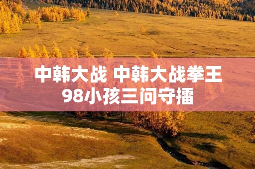 中韩大战 中韩大战拳王98小孩三问守擂