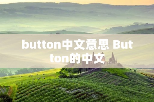 button中文意思 Button的中文 button中文意思 Button的中文