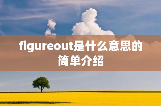 figureout是什么意思的简单介绍