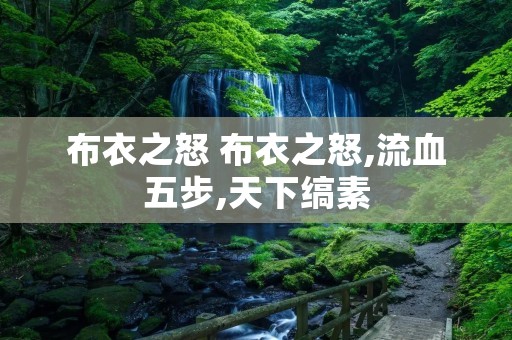 布衣之怒 布衣之怒,流血五步,天下缟素 布衣之怒 布衣之怒,流血五步,天下缟素