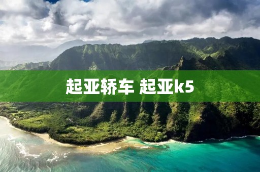起亚轿车 起亚k5