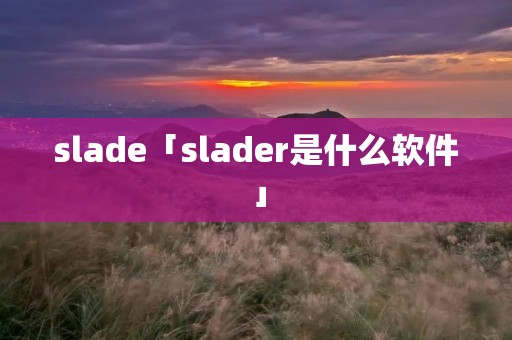 slade「slader是什么软件」