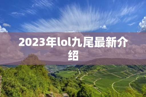 2023年lol九尾最新介绍