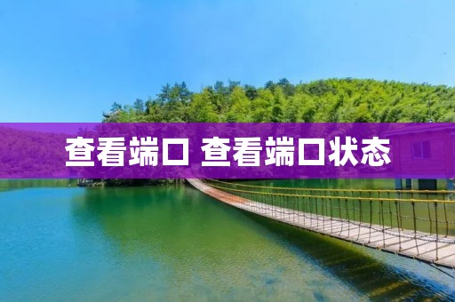 查看端口 查看端口状态 查看端口 查看端口状态