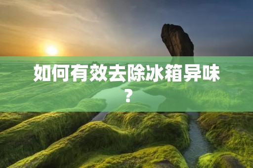 如何有效去除冰箱异味？