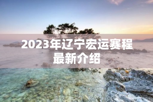 2023年辽宁宏运赛程最新介绍