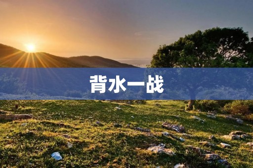 背水一战:瑞士守卫斗争的故事