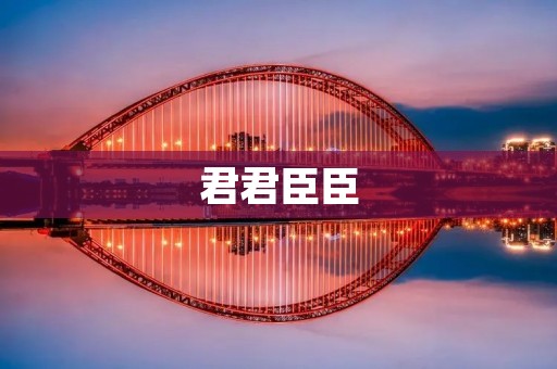 君君臣臣：历史与现实的对比