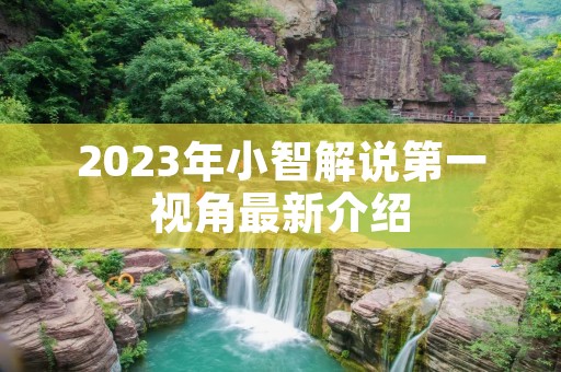 2023年小智解说第一视角最新介绍