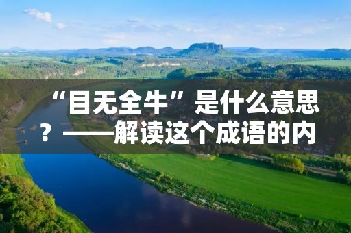 “目无全牛”是什么意思?——解读这个成语的内涵