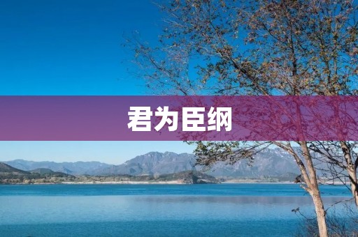 君为臣纲：中国传统政治理念的现代启示