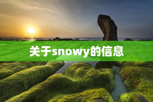 关于snowy的信息
