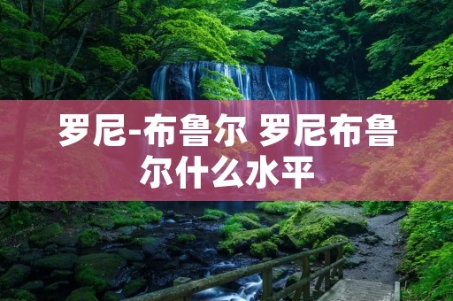 罗尼-布鲁尔 罗尼布鲁尔什么水平