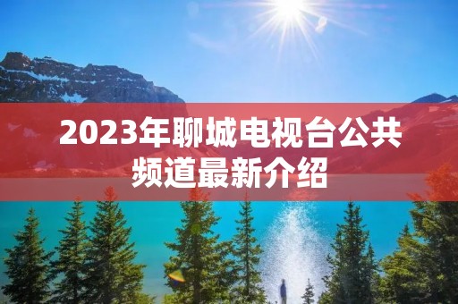 2023年聊城电视台公共频道最新介绍