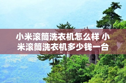 小米滚筒洗衣机怎么样 小米滚筒洗衣机多少钱一台