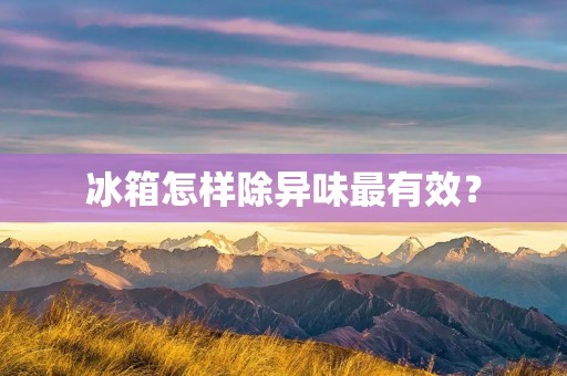 冰箱怎样除异味最有效? 冰箱怎样除异味最有效?