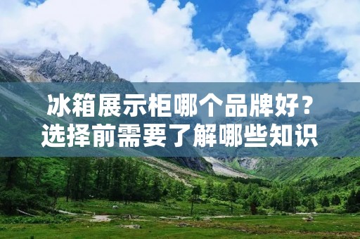 冰箱展示柜哪个品牌好？选择前需要了解哪些知识？