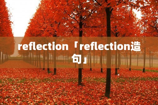 reflection「reflection造句」