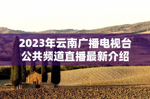 2023年云南广播电视台公共频道直播最新介绍 2023年云南广播电视台公共频道直播最新介绍