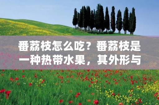 番荔枝怎么吃？番荔枝是一种热带水果，其外形与荔枝类似，但味道更加甜美，口感也更加爽脆。在热带地区，番荔枝常被当作零食食用，也可以用来制作饮料或甜品。那么，番荔枝该如何食用呢？下面就来详细介绍一下。