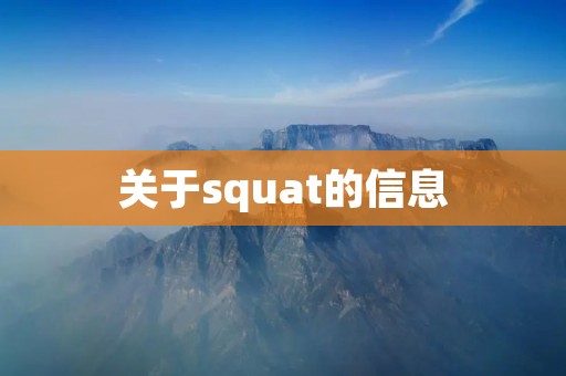 关于squat的信息