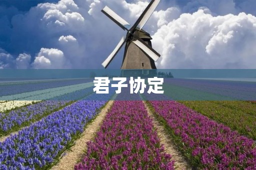 君子协定：建立和谐社会的必要道德准则