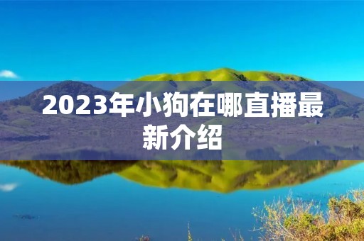 2023年小狗在哪直播最新介绍 2023年小狗在哪直播最新介绍
