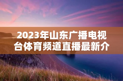 2023年山东广播电视台体育频道直播最新介绍