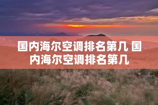 国内海尔空调排名第几 国内海尔空调排名第几