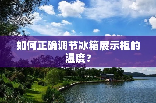 如何正确调节冰箱展示柜的温度? 如何正确调节冰箱展示柜的温度?