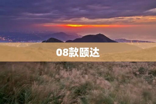 08款颐达:舒适驾驶的完美选择 08款颐达:舒适驾驶的完美选择