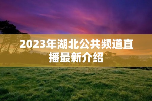 2023年湖北公共频道直播最新介绍