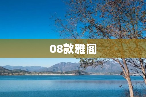 08款雅阁:豪华、舒适、安全的代表 08款雅阁:豪华、舒适、安全的代表