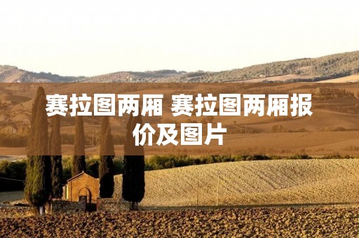 赛拉图两厢 赛拉图两厢报价及图片