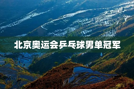 北京奥运会乒乓球男单冠军:马琳的传奇之路 北京奥运会乒乓球男单冠军:马琳的传奇之路