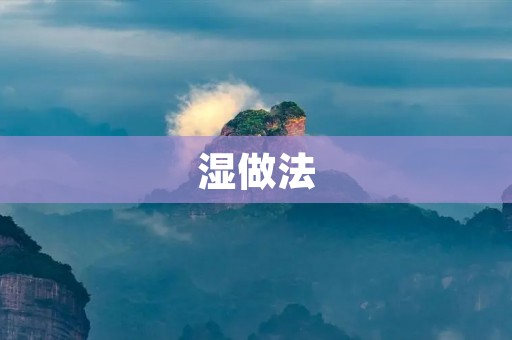 湿做法：让你的菜肴更加美味