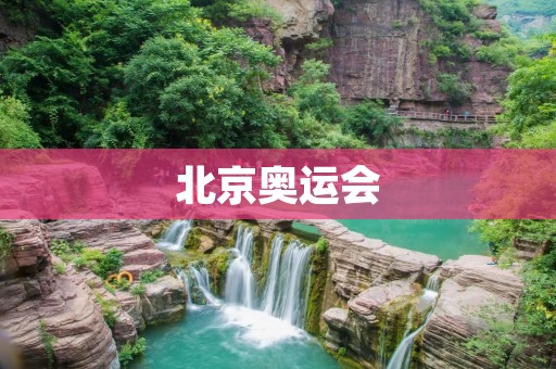 北京奥运会:评价与回顾 北京奥运会:评价与回顾