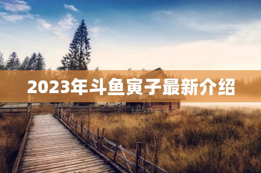 2023年斗鱼寅子最新介绍 2023年斗鱼寅子最新介绍