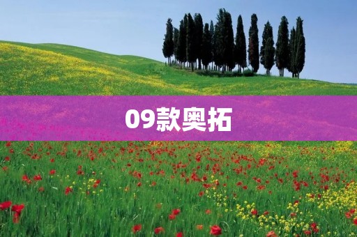 09款奥拓:经典小车的传承与发展 09款奥拓:经典小车的传承与发展