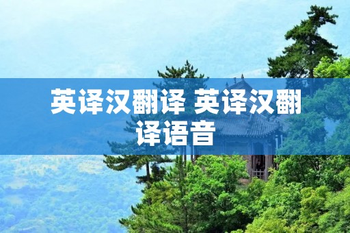 英译汉翻译 英译汉翻译语音
