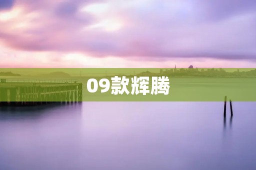 09款辉腾:豪华座驾的极致体验 09款辉腾:豪华座驾的极致体验