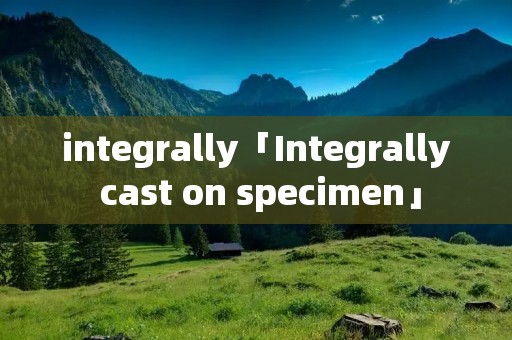 integrally「Integrally cast on specimen」 integrally「Integrally cast on specimen」