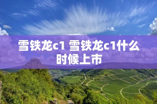 雪铁龙c1 雪铁龙c1什么时候上市